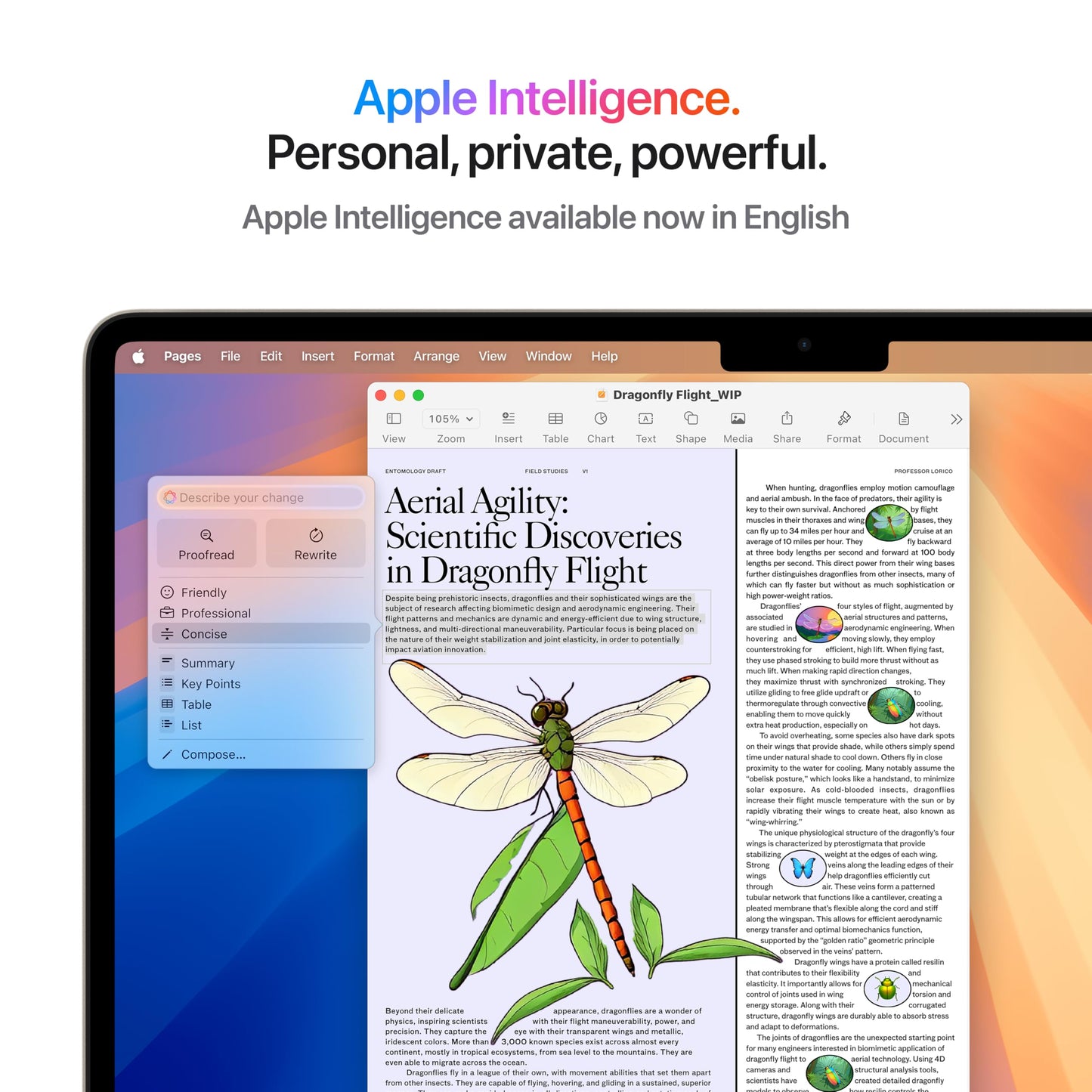 Apple 2025 MacBook Air (13-inch, Apple M4 chip with 10-core CPU and 8-core GPU, 16GB Unified Memory, 256GB) - Starlight
